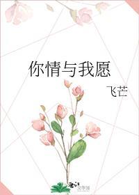 你情与我愿