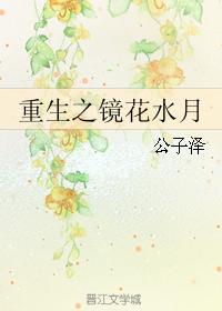 重生之镜花水月