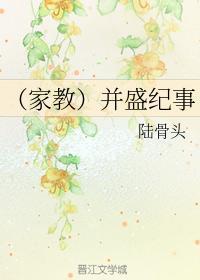 （家教）并盛纪事