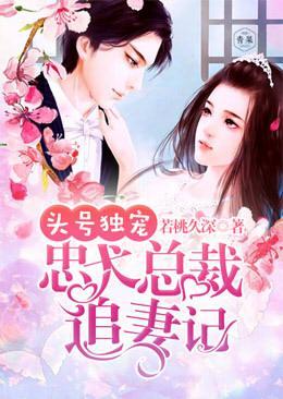头号独宠:忠犬总裁追妻记