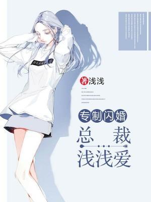 专制闪婚:总裁浅浅爱
