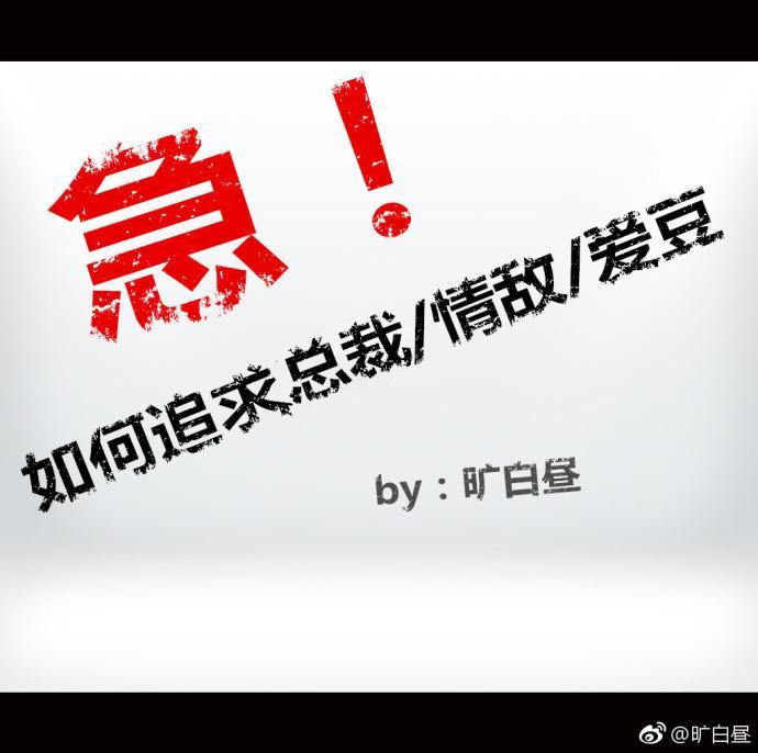 急!如何追求总裁
