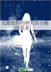 反派组织的研究员小姐[综英美]