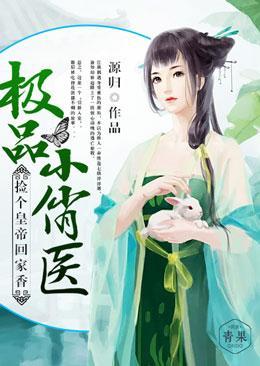极品小俏医:捡个皇帝回家香