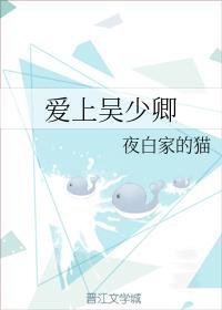 爱上吴少卿