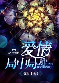 爱情局中局