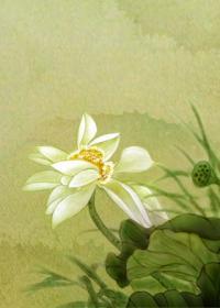 远方伊人