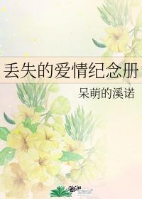丢失的爱情纪念册