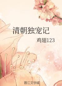 清朝独宠记