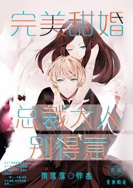 完美甜婚:总裁大人别得意