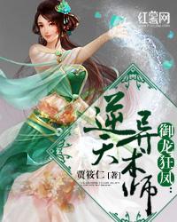 御龙狂凤:逆天异术师
