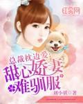 总裁枕边爱:甜心娇妻难驯服