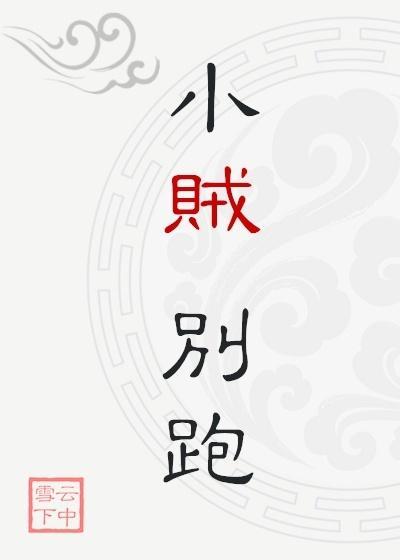 小贼,别跑
