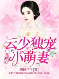 一夜倾心:云少独宠小萌妻
