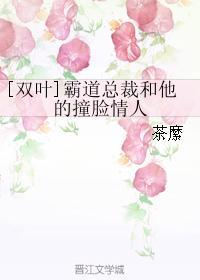 [双叶]霸道总裁和他的撞脸情人