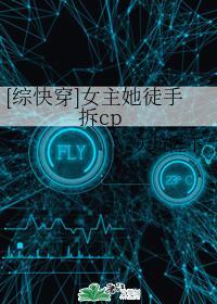 [综快穿]女主她徒手拆cp