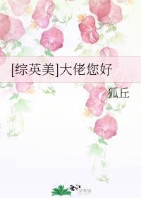 [综英美]大佬您好