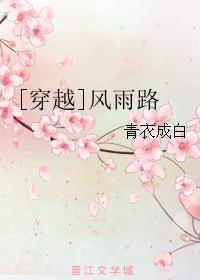 [穿越]风雨路