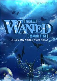 [海贼王]WANTED