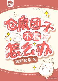 仓鼠团子不糯怎么办