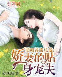 误租首席总裁:娇妻的贴身宠夫