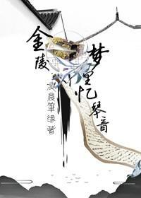 金陵梦里忆琴音