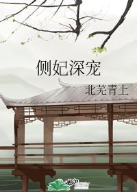 侧妃深宠