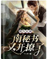 报告总裁:南秘书又开撩了