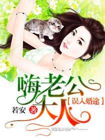 误入婚途：嗨，老公大人