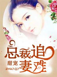 甜宠:总裁追妻难
