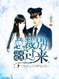 劫爱难逃:总裁别过来