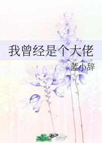 我曾经是个大佬
