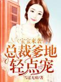 宝宝来袭，总裁爹地轻点宠
