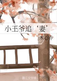 小王爷追‘妻’