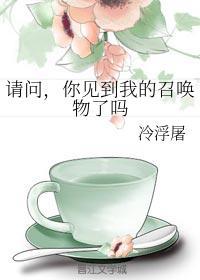请问,你见到我的召唤物了吗