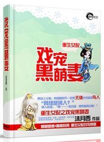 独宠之王爷的出逃妃