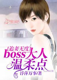 追妻无度:boss大人温柔点洛笑冉江璧丞