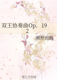 双王协奏曲Op．192