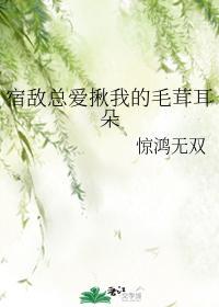宿敌总爱揪我的毛茸耳朵