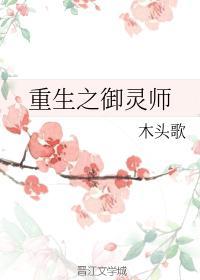 重生之御灵师