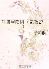 间谍与陷阱(家教27)