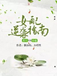 重生VS穿越:女配逆袭指南
