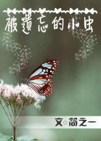被遗忘的小虫