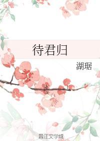 待君归
