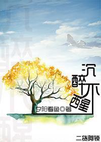 沈醉不醒