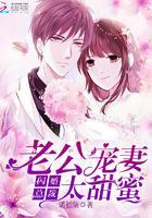 闪婚总裁:老公宠妻太甜蜜