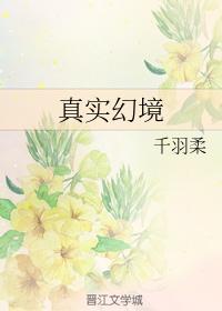 真实幻境