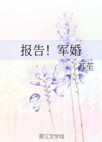 报告!军婚