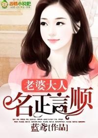 老婆大人,名正言顺