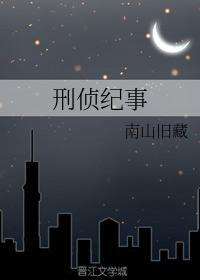 刑侦纪事